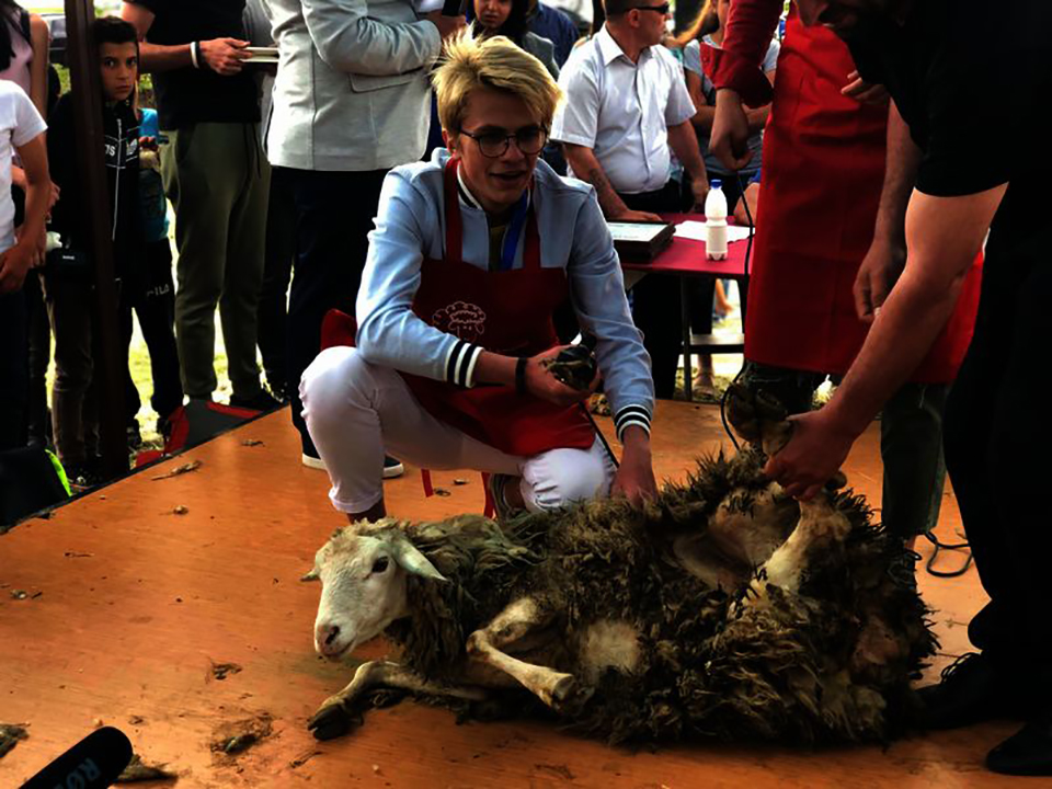 Ոչխարի Խուզման Փառատոն 2019